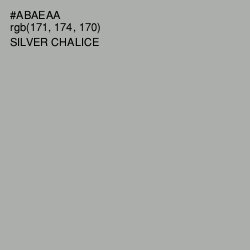 #ABAEAA - Silver Chalice Color Image